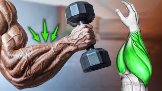 Build Huge Forearms Grow Fast 5 Effective Exercise [upl. by Adnawed]