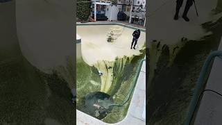 How does an algae cleaning machine work [upl. by La Verne]