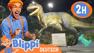 Blippi besucht das Pacific Science Centre  Blippi Deutsch  Abenteuer und Videos für Kinder [upl. by Pegasus854]