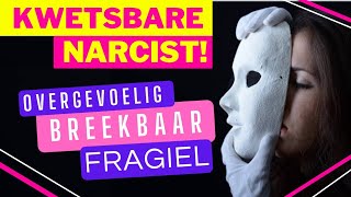 De Geheime Wereld van Kwetsbare Narcisten De Maskers Vallen Af [upl. by Dieter99]