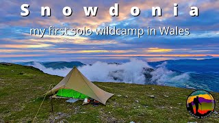 Wildcamping in Snowdonia my first solo wildcamp in WalesMLD cricket [upl. by Erhart]