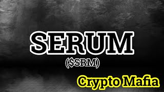 仮想通貨業界の内輪差ゼロ野郎『SRM』 [upl. by Wharton]