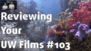 Reviewing YOUR UNDERWATER FILMS 103 ⎮ Benjamin Wong [upl. by Alliuqaj]