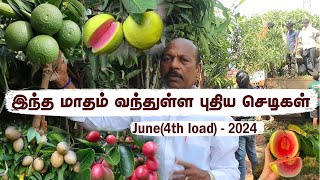 Pt4 June Loadஉங்க தோட்டத்திற்கு எந்த செடிகளை வளர்க்கலாம் னு தெரியுமா  Perfect Plants for Garden [upl. by Pinto]