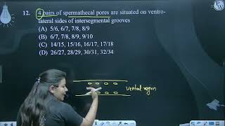 4 pairs of spermathecal pores are situated on ventrolateral sides of intersegmental grooves [upl. by Nedah116]