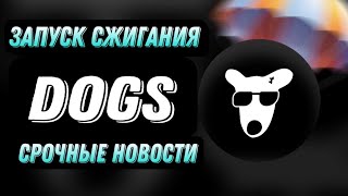 DOGS СРОЧНЫЕ НОВОСТИ  ЗАПУСК СЖИГАНИЯ ТОКЕНОВ [upl. by Nylacaj]