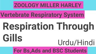 Respiration through gillsVertebrate respiratory system  Gills  Millar Harley  Chapter36 [upl. by Wisnicki750]