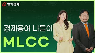 알파경제TV 경제용어 나들이 MLCC가 뭘까요 경제용어사전 [upl. by Ayekram]