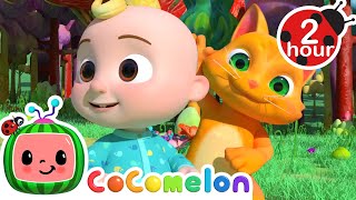 Animal Dance Song 😸  COCOMELON 🍉  Kids Songs  Nursery Rhymes  Sleep Baby Songs [upl. by Isidoro735]