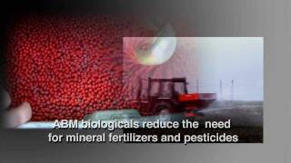 Benefits of Farming with Biologicals Bradyrhizobia amp Trichoderma [upl. by Etana312]