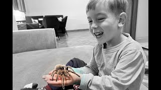 Kids handling tarantula [upl. by Schram584]