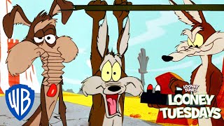 Looney Tuesdays  Ralph VS Wile E Coyote  Looney Tunes  wbkids [upl. by Ahseiyn187]