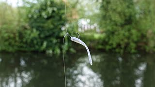 Micro Dropshot Catches BIG Canal Fish [upl. by Solita]