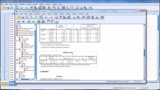 Conducting a TwoWay ANOVA in SPSS [upl. by Brey710]