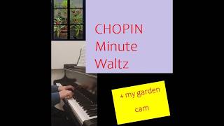 Chopin Minute Waltz in D flat Op 64 No 1 Vid 2 [upl. by Frieder]