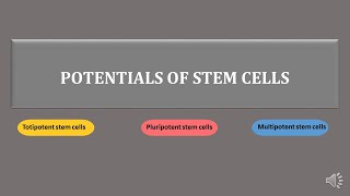 stem cells  totipotent pluripotent multipotent stem cells  scitechtrends [upl. by Klepac589]