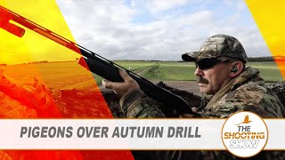 The Shooting Show  Pigeons over drill rabbiting with thermals AND airgun squirrel control [upl. by Heidi]