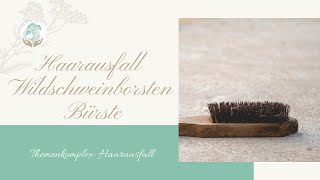 Haarausfall Stoppen  Die Wildschweinborstenbürste [upl. by Kosel]