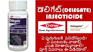 DOW DELEGATE INSECTICIDE FULL DETAILS IN TELUGU Spinetoram 117 SCFUTURE TECH AGRICULTURE [upl. by Zendah]