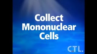 Collect Mononuclear Cells [upl. by Lebiralc]