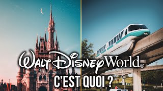 Parcs attractions hôtels transports saisons  WALT DISNEY WORLD  le RÊVE DISNEY ULTIME [upl. by Legir]