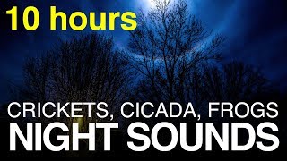 Sound of Katydids and Cicadas at Night  Outdoor Sounds [upl. by Bushweller821]