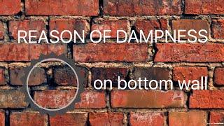 Reason of dampness on bottom of wall [upl. by Lepley]