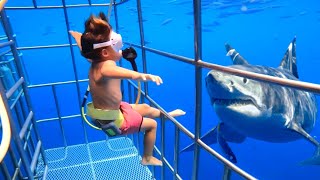 7 Great White Shark Encounters You Shouldnt Click On [upl. by Kaylyn]