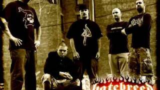 Hatebreed Every Lasting Scar BEST SONG [upl. by Retha386]