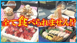 【食品サンプルの世界展】「本物みたい。おいしそう」 本物と見分けがつかない料理やスイーツなど50点が並ぶ 時代とともに製法も見せ方も進化している最新作を展示 鳥取県米子市 [upl. by Apul]