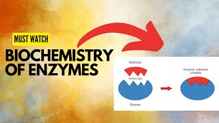 Enzymes  Enzymes Biochemistry  Enzymes MDCAT Lecture [upl. by Olra711]