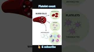 Normal range of platelet count science body human anatomy physiology [upl. by Adnyleb659]