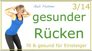 314🌷25 min gesunder Rücken durch Bewegung  ohne Geräte für Einsteiger [upl. by Mashe225]