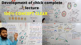 Development of chick Complete lecture  Fsc biology  MDCAT [upl. by Puduns]