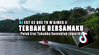 DJ EST CE QUE TU M’AIMES X TERBANG BERSAMAKU Peluk Erat Tubuhku Sentuhlah Jemariku [upl. by Muriah]