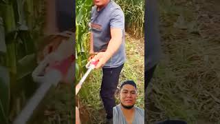 Casi funciona 🤣 milpa rancho agricultura tractor implementosagricolas [upl. by Luapleahcim947]