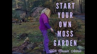 Start Your Own Moss Garden Contiguous Method [upl. by Sainana752]