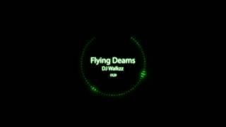 Alan Walker  Flying Dreams [upl. by Barnard]