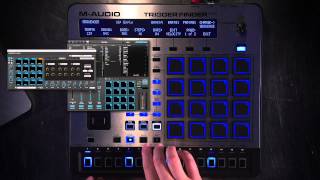 MAudio Trigger Finger Pro Overview 3 of 3  Step Sequencer [upl. by Yblocaj176]