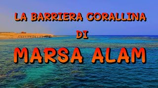 La barriera corallina di Marsa Alam🇪🇬🇪🇬🇪🇬 [upl. by Schiro]