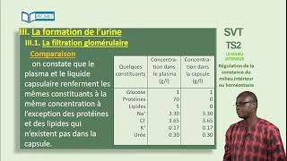 Régulation de la constance du milieu intérieur ou homéostasie  structure et fonctionnement du rein [upl. by Chesna994]