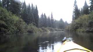 Paddling the Oxtongue [upl. by Watts]