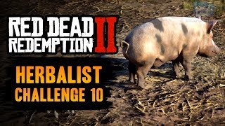 Red Dead Redemption 2 Herbalist Challenge 10 Guide  Season and cook all 11 types of meat [upl. by Gillian716]