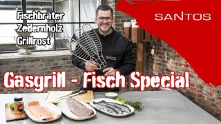 Fischgerichte vom Gasgrill  Lachs Forelle Thunfisch  Mit Zedernholz und Fischbräter [upl. by Fredericka]