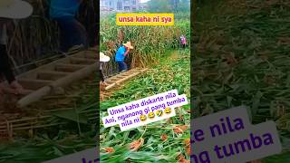 UNSA KAHA DISKARTE NILA NGANONG NI HAPAY MAN NILA NI😂😂🤣😅🤣 youtubeshorts caballerolmdc farming [upl. by Suoirrad600]