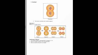 Notes Biology class 10 icse Structure of chromosome cell cycle and cell division [upl. by Norrek980]