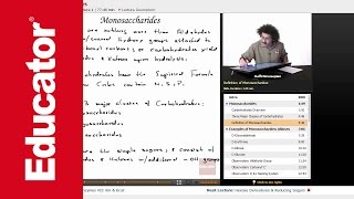 Examples of Monosaccharides Aldoses  Biochemistry Tutorial [upl. by Laon743]