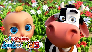 🐄🎶 La Hora Feliz de la Vaca Lolaquot🎶🐄 Canciones infantiles [upl. by Arykat]