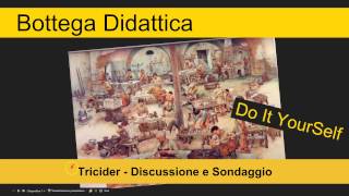 Tricider video tutorial discussione  sondaggio [upl. by Toft]