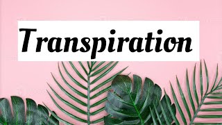 Transpiration advantages and disadvantages [upl. by Norehc]